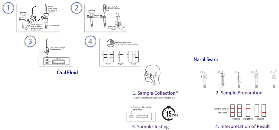 Test Methodology (Oral Fluid)